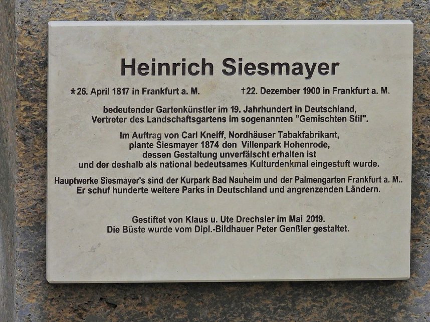 Winterlinge im Februar