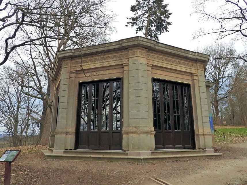 Winterlinge im Februar