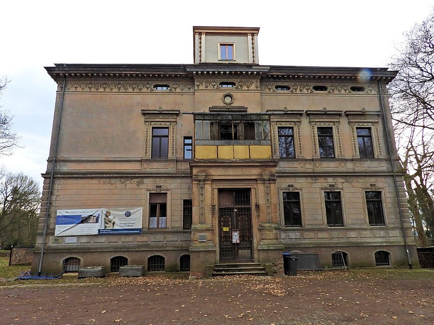 Winterlinge im Februar