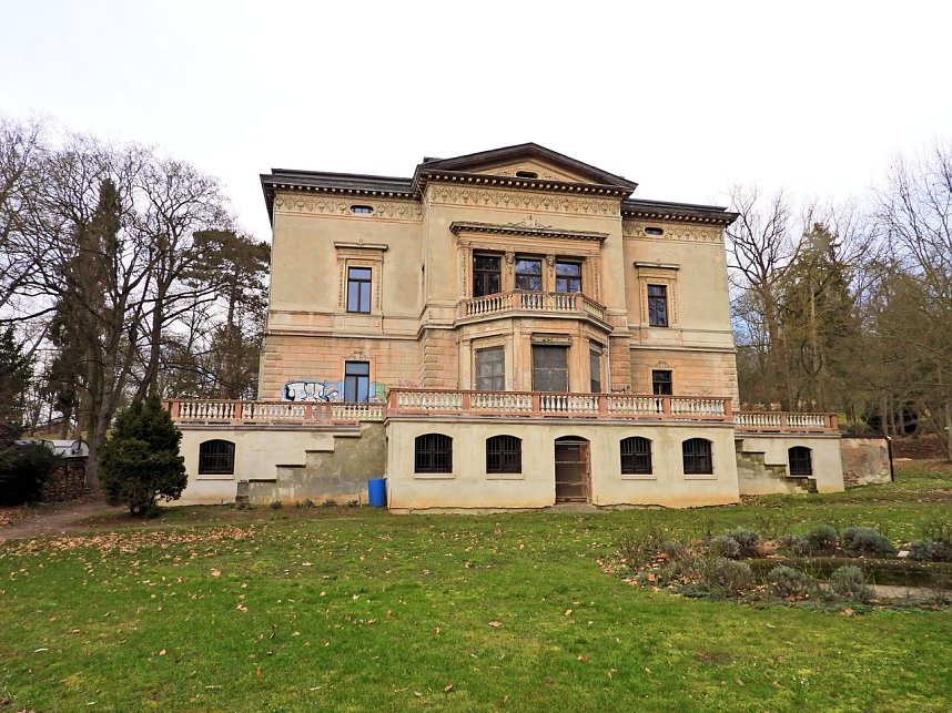 Winterlinge im Februar