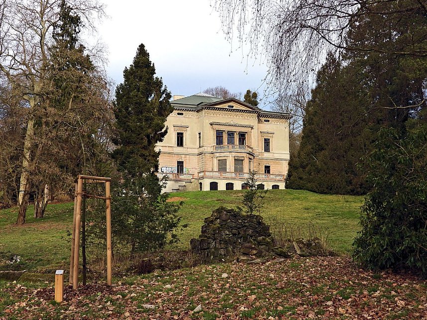 Winterlinge im Februar