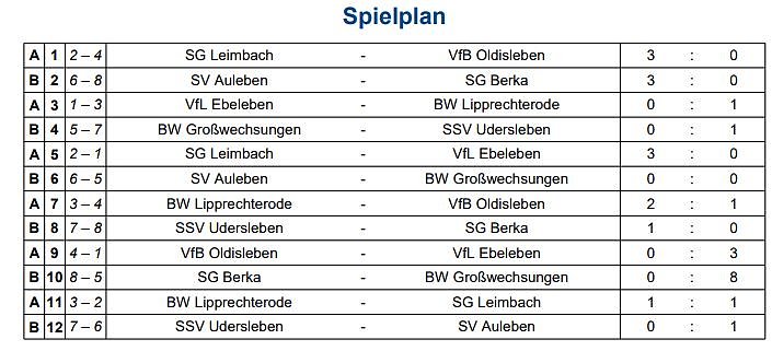 SV National Auleben Hallenkreismeister