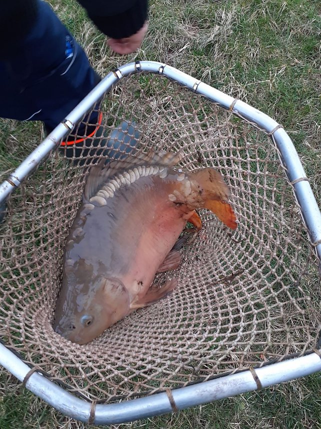 Notabfischunbg Kelbra