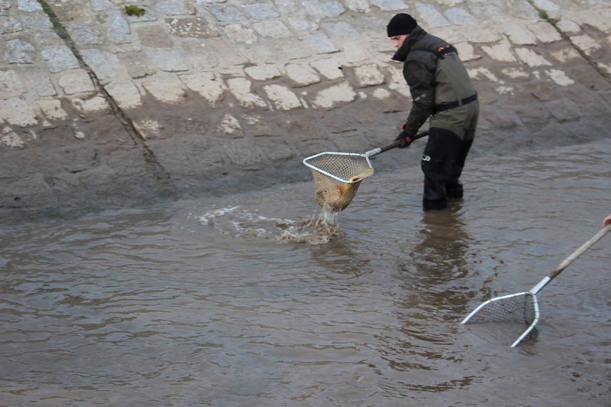 Notabfischunbg Kelbra