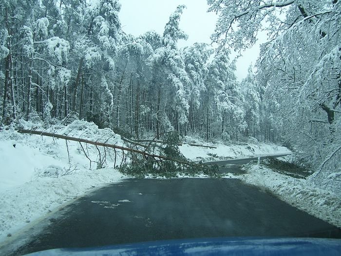 Sperrung? Hier ist die Antwort