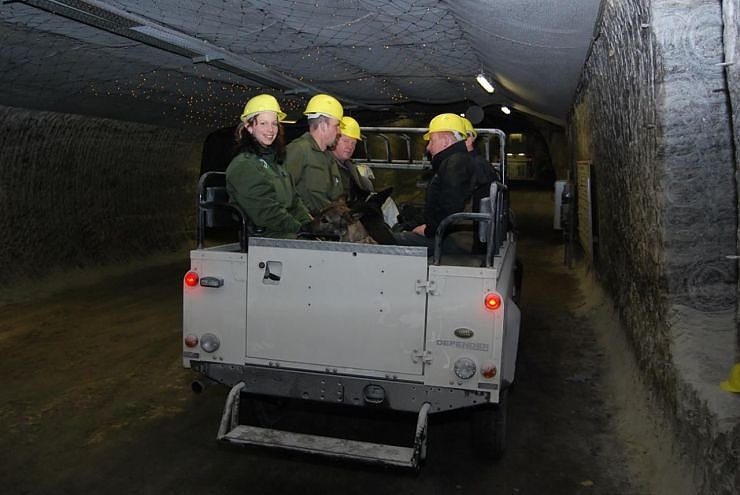 Salzstaub gesch&uuml;ffelt
