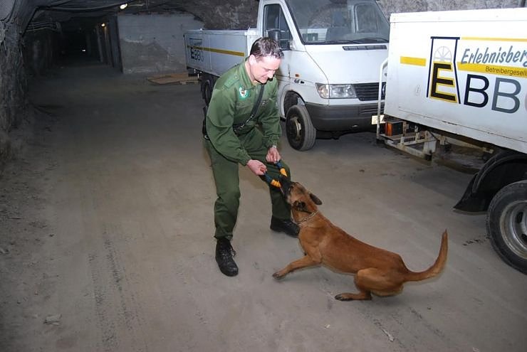 Salzstaub gesch&uuml;ffelt