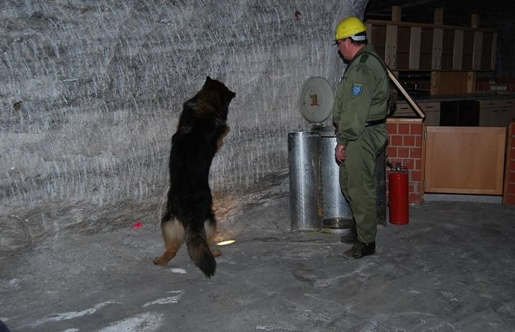 Salzstaub gesch&uuml;ffelt