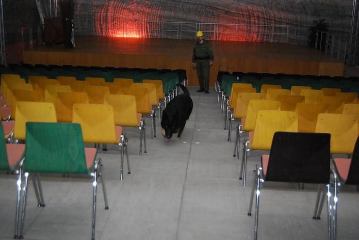 Salzstaub gesch&uuml;ffelt