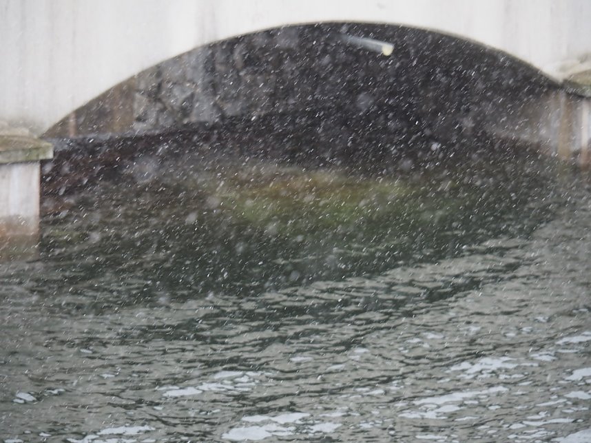 Der letzte Schnee und Vorboten des Fr&uuml;hlings