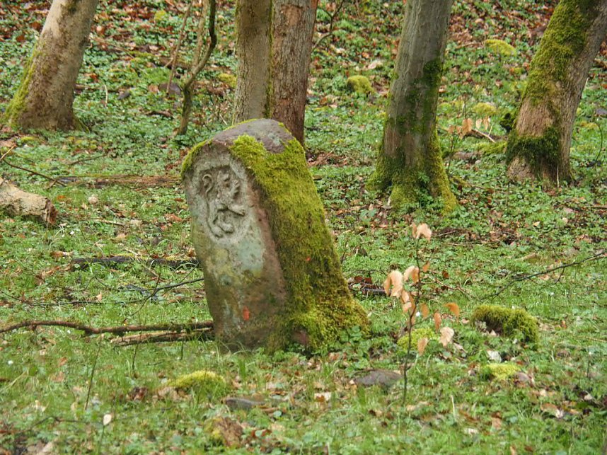Der letzte Schnee und Vorboten des Fr&uuml;hlings