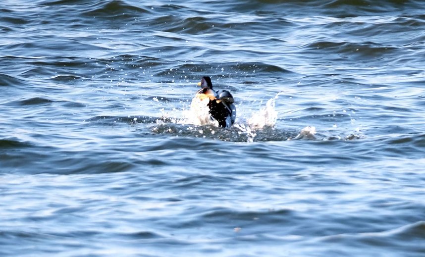 Peter Blei am Stausee Kelbra