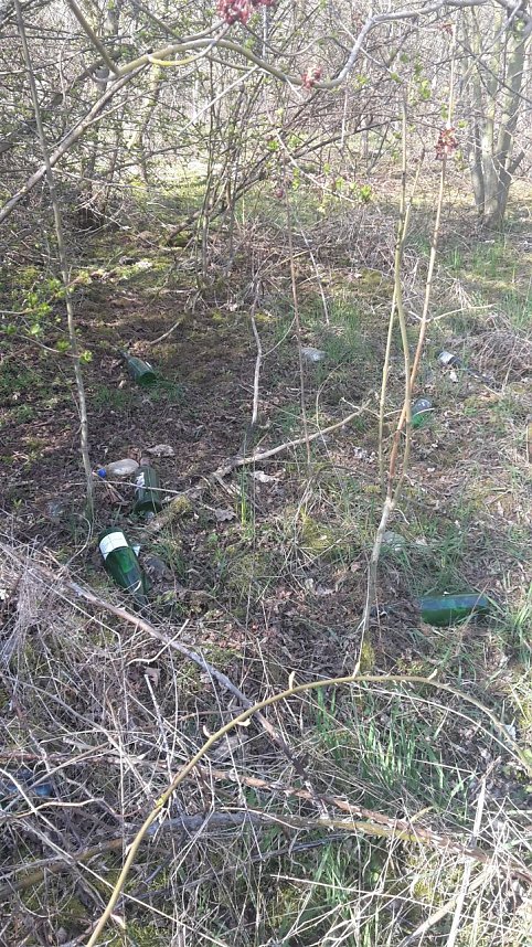 Sauerei in Nordhausen-Nord