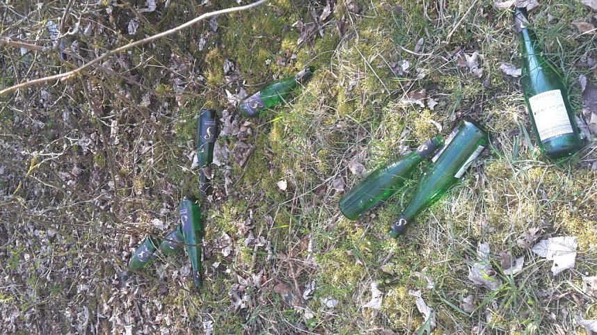 Sauerei in Nordhausen-Nord