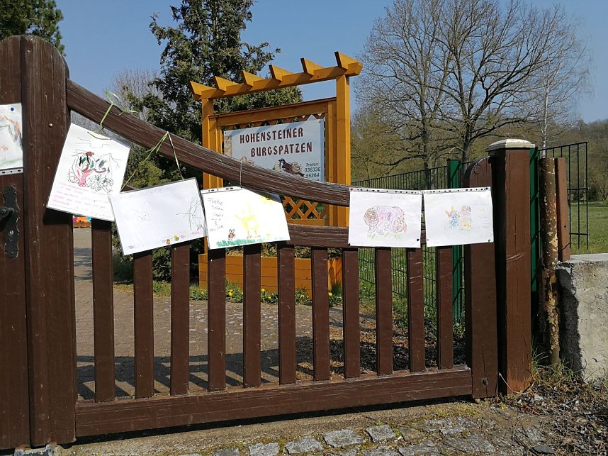 Neues von den Hohensteiner Burgspatzen