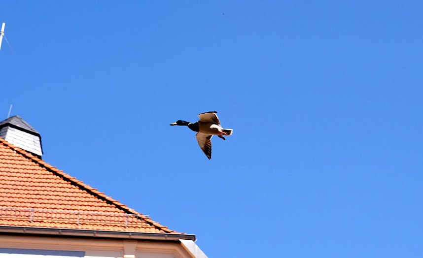 Unterwegs an der Zorge