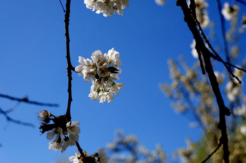 Unterwegs an der Zorge