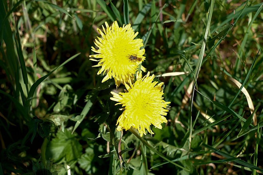Unterwegs an der Zorge