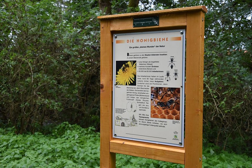 Auf dem S&uuml;dharzer Bienenlehrpfad