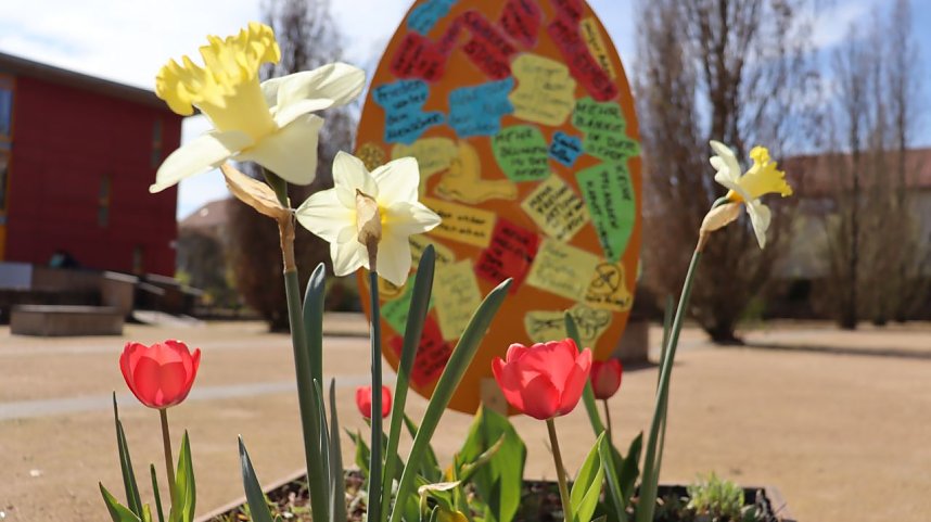 Dekoration am Lesserplatz