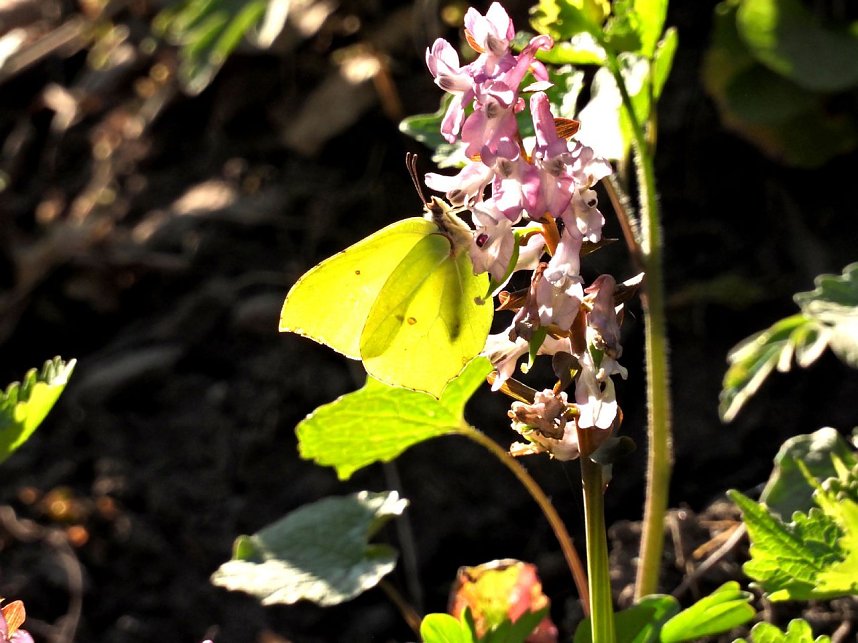 Unterwegs im Brandesbachtal