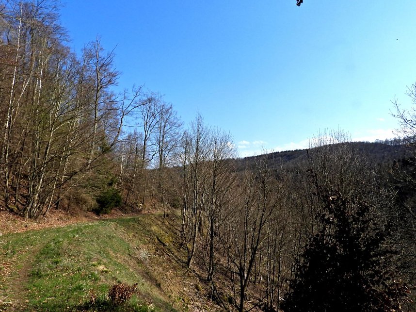 Unterwegs im Brandesbachtal