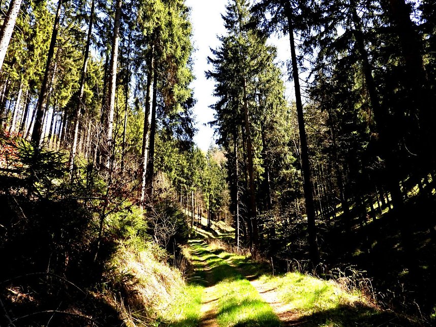 Peter Blei unterwegs an der Eisfelder Talm&uuml;hle