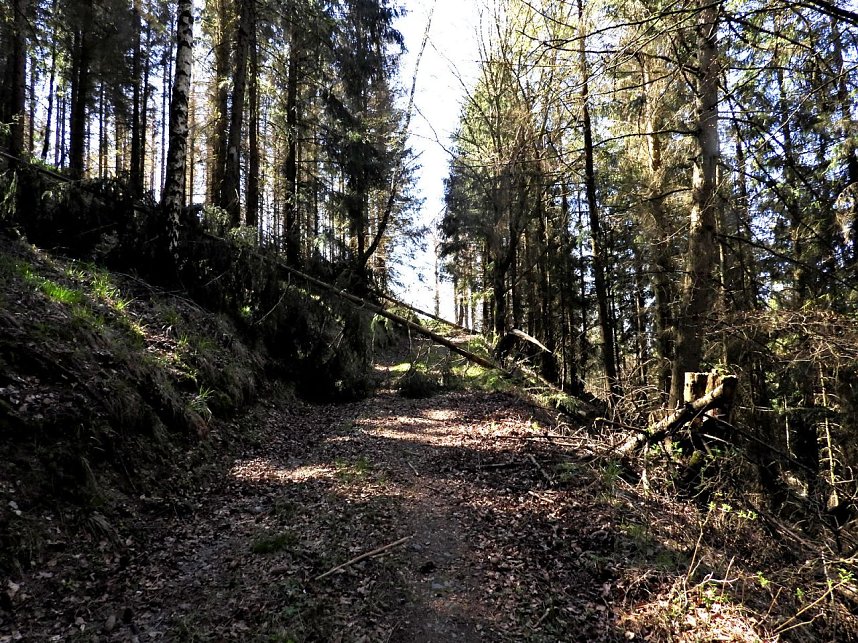 Peter Blei unterwegs an der Eisfelder Talm&uuml;hle