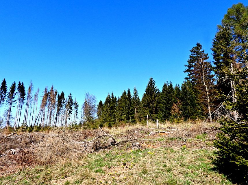 Peter Blei unterwegs an der Eisfelder Talm&uuml;hle