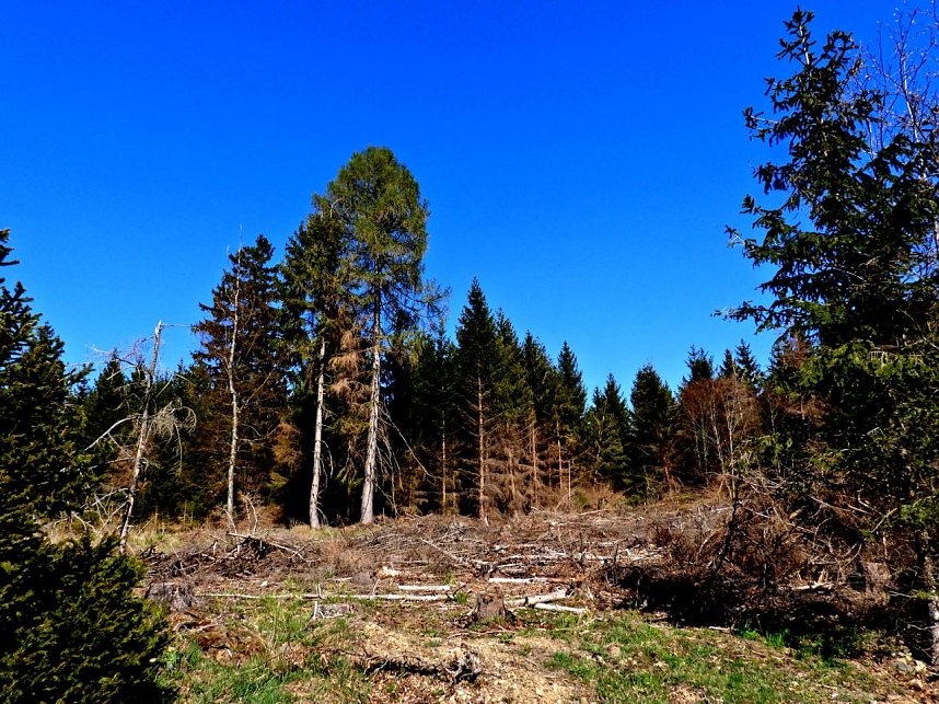 Peter Blei unterwegs an der Eisfelder Talm&uuml;hle