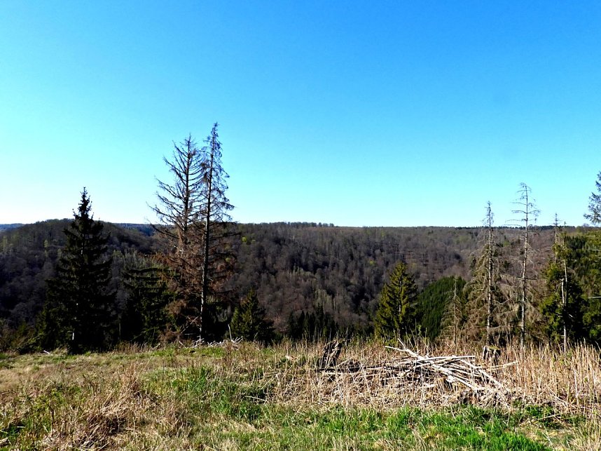 Peter Blei unterwegs an der Eisfelder Talm&uuml;hle