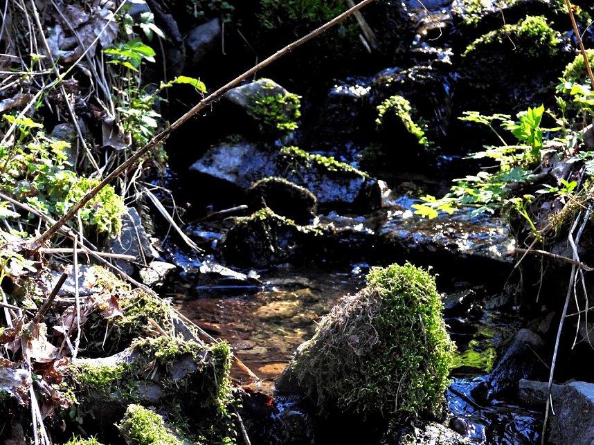 Peter Blei unterwegs an der Eisfelder Talm&uuml;hle