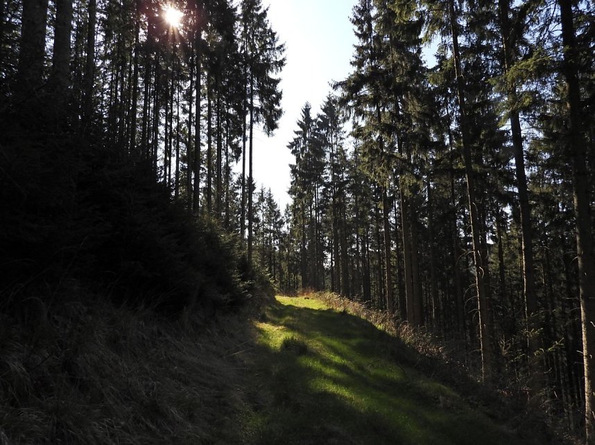 Peter Blei unterwegs an der Eisfelder Talm&uuml;hle