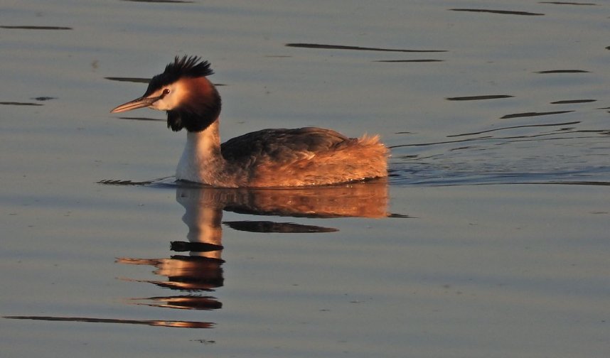 Peter Blei am Stausee Kelbra