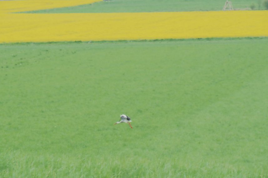 Unterwegs bei Auleben