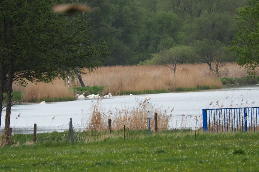 Unterwegs bei Auleben