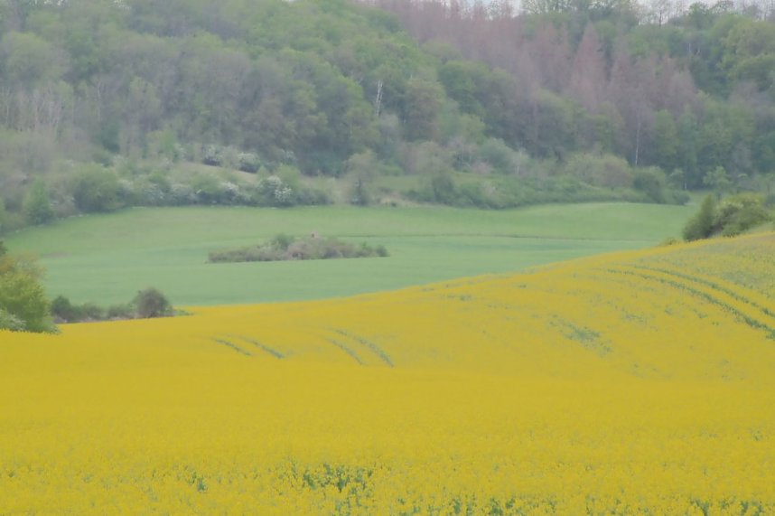 Unterwegs bei Auleben
