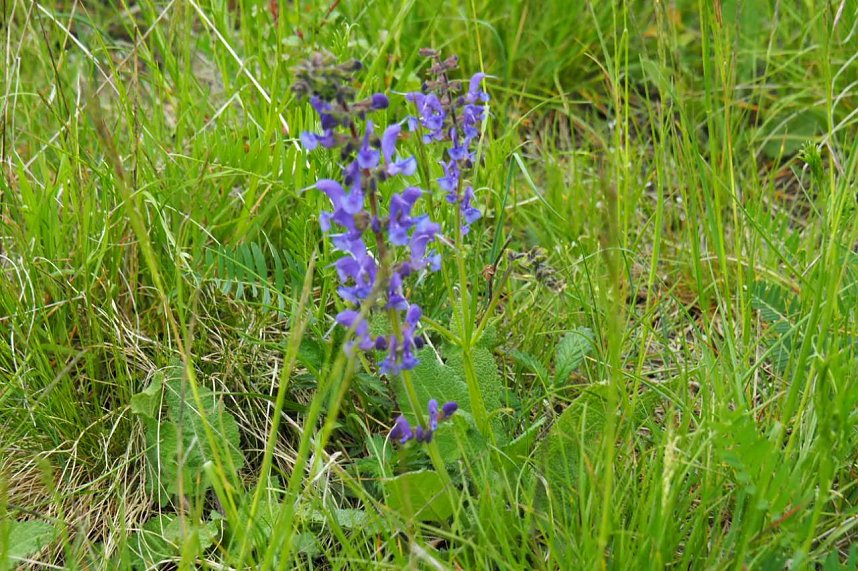 Unterwegs bei Auleben