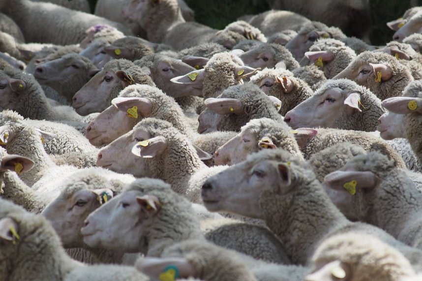 Unterwegs bei Auleben