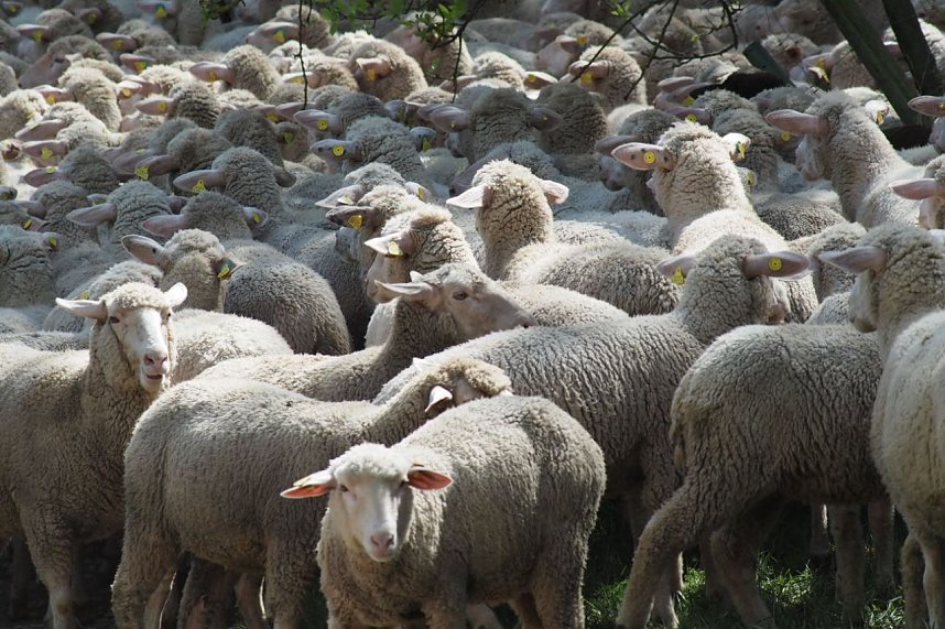 Unterwegs bei Auleben