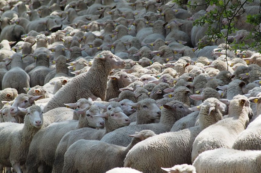 Unterwegs bei Auleben