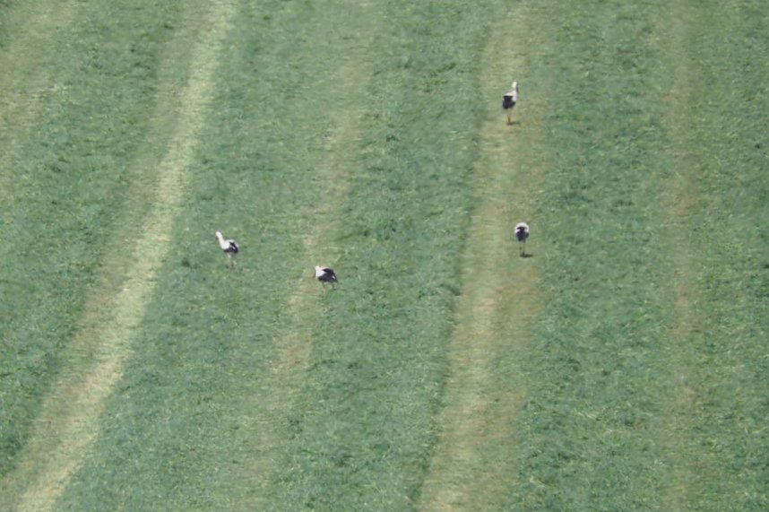 Unterwegs bei Auleben