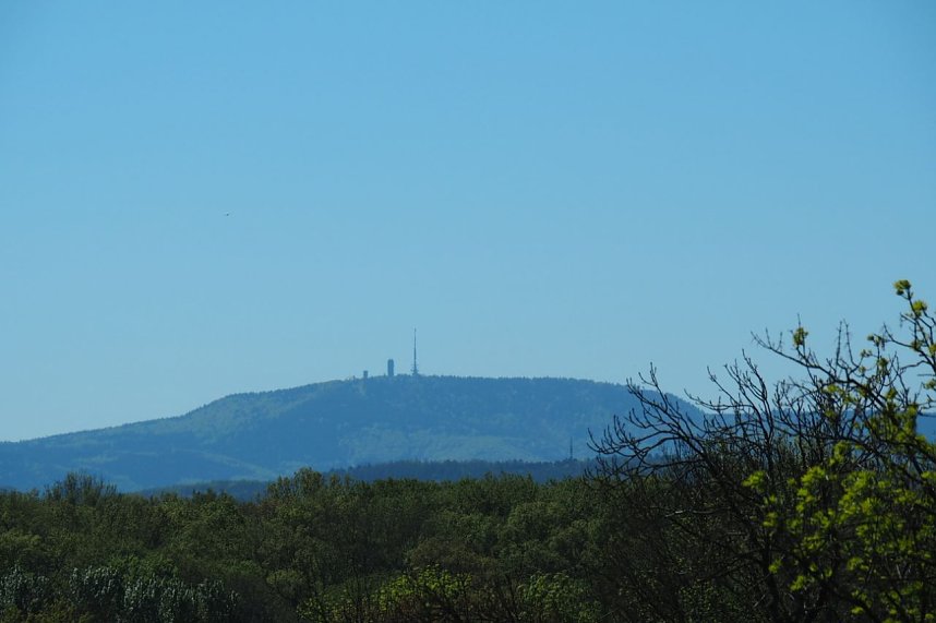 Auf dem Baumkronenpfad