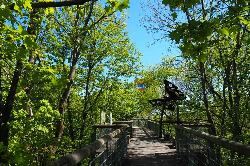 Auf dem Baumkronenpfad