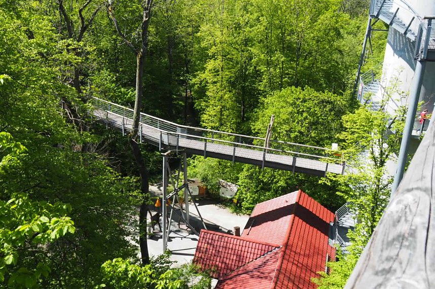 Auf dem Baumkronenpfad