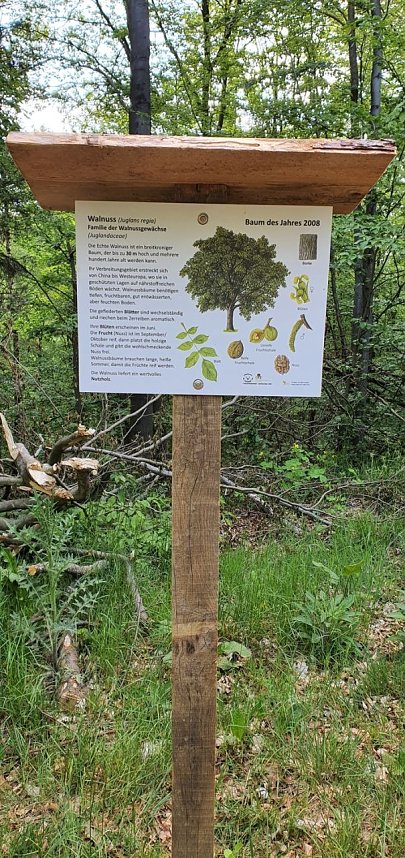 Balsam f&uuml;r die Seele