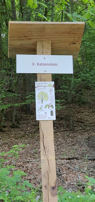 Balsam f&uuml;r die Seele