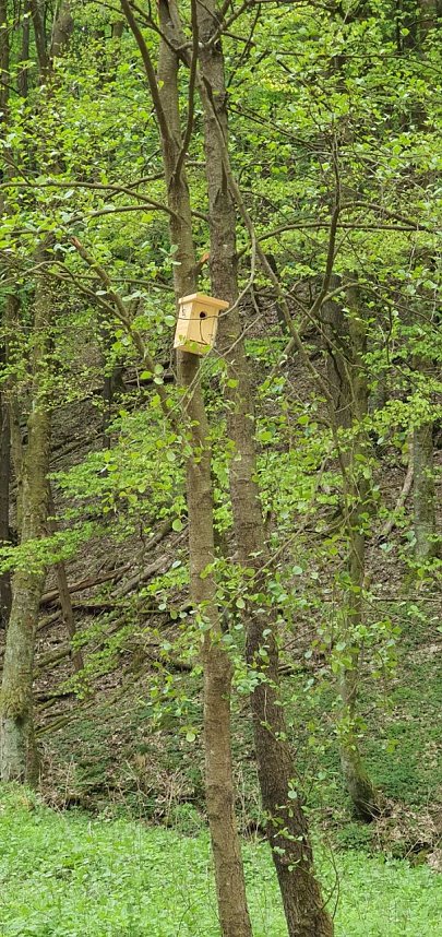 Balsam f&uuml;r die Seele