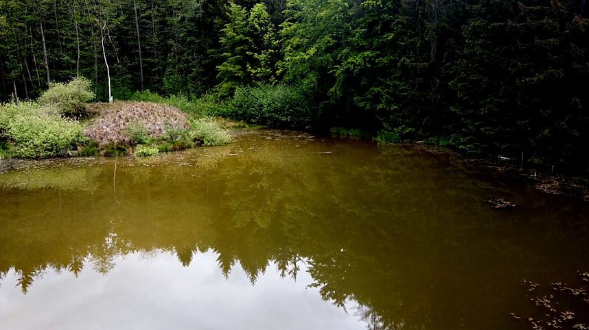 Wanderung um Neustadt