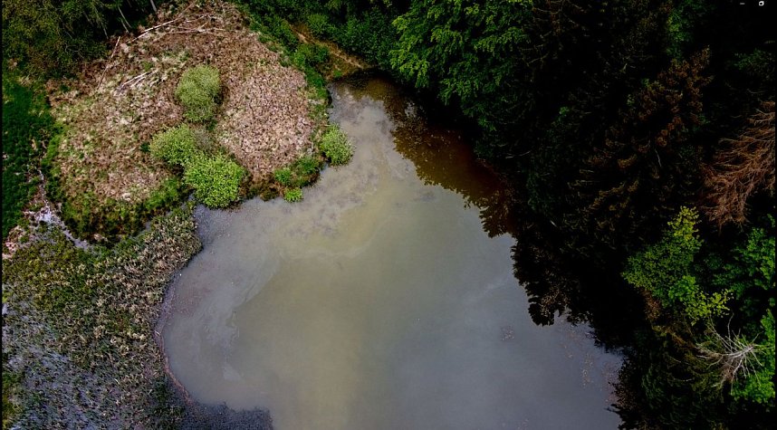 Wanderung um Neustadt